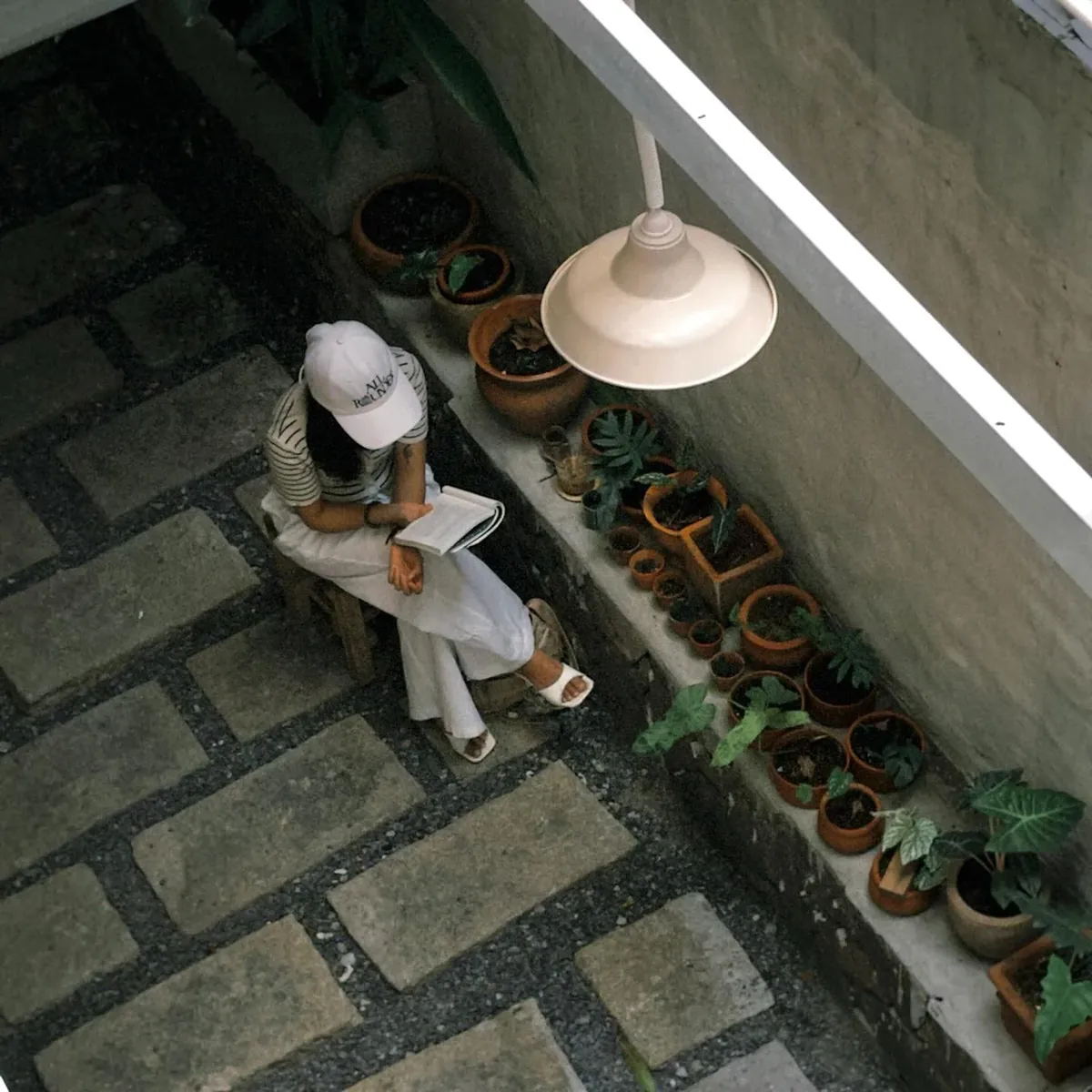 Khách tại AM Phinpour